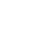 ѵ